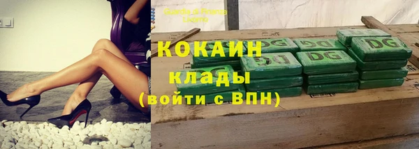 сатива Абаза