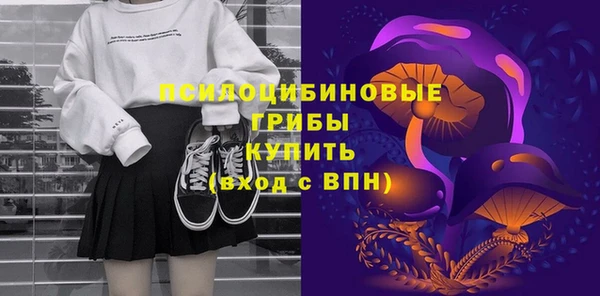 сатива Абаза