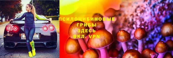 индика Абдулино