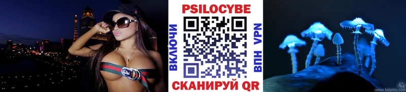 наркота  Подпорожье  Галлюциногенные грибы Psilocybine cubensis 