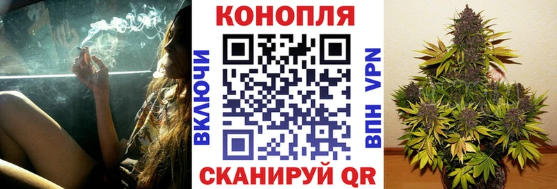 МАРИХУАНА MAZAR  купить наркотики сайты  Подпорожье 